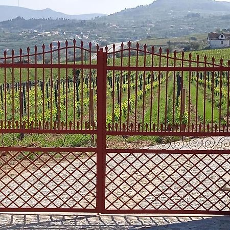 Quinta Do Passadico Villa Lamego Luaran gambar