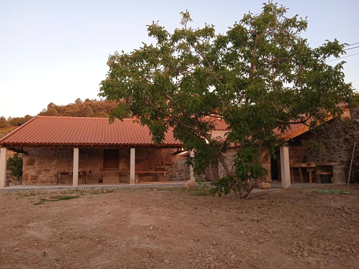 Quinta Do Passadico Villa Lamego Luaran gambar