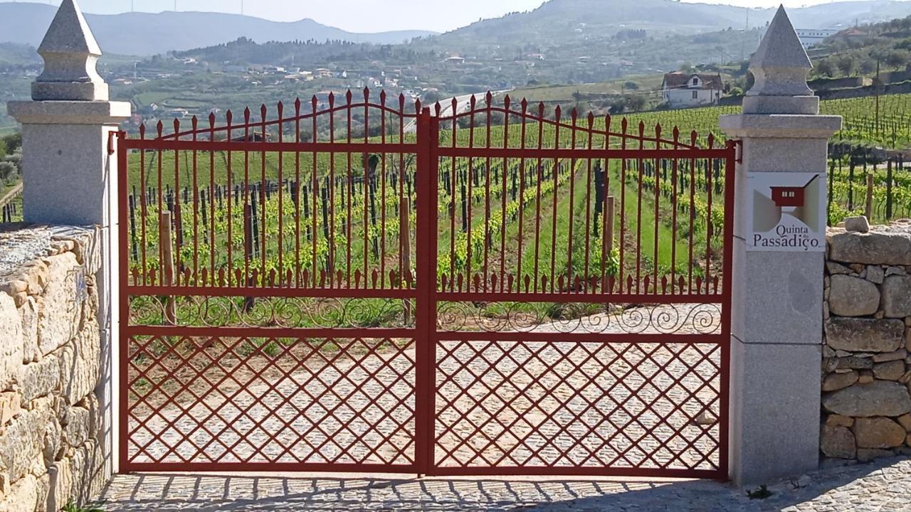 Quinta Do Passadico Villa Lamego Luaran gambar
