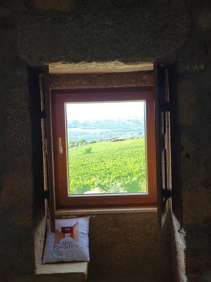 Quinta Do Passadico Villa Lamego Luaran gambar