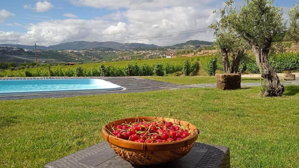 Quinta Do Passadico Villa Lamego Luaran gambar